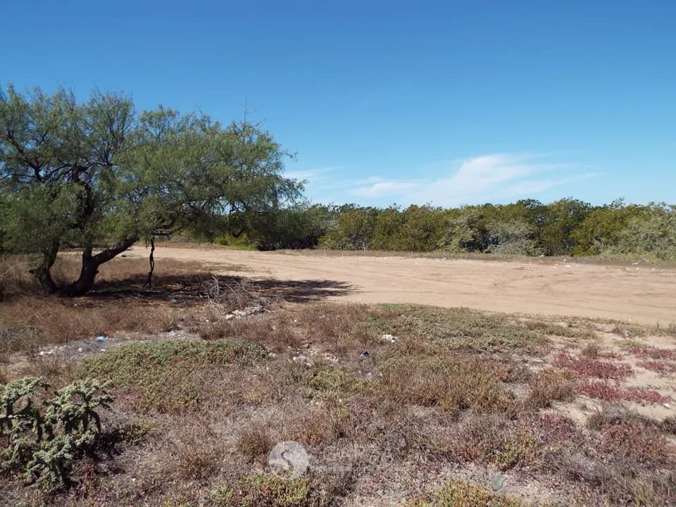 TERRENO DE PLAYA CERCA CUEVA DE LOS MURCIÉLAGOS EL MAVIRI