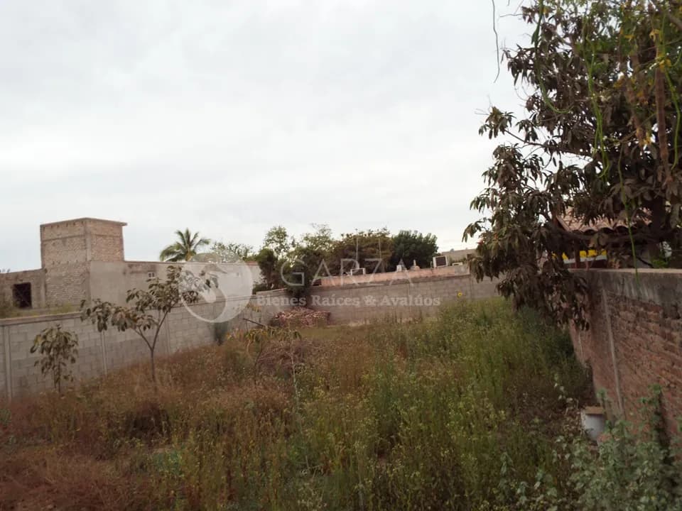 TERRENO EN RENTA COL. LUIS DONALDO COLOSIO