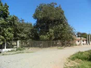 GBA_2028 | TERRENO CON CONSTRUCCION TECOMATE GUASAVE, SIN. | GARZA Bienes Raíces & Avalúos